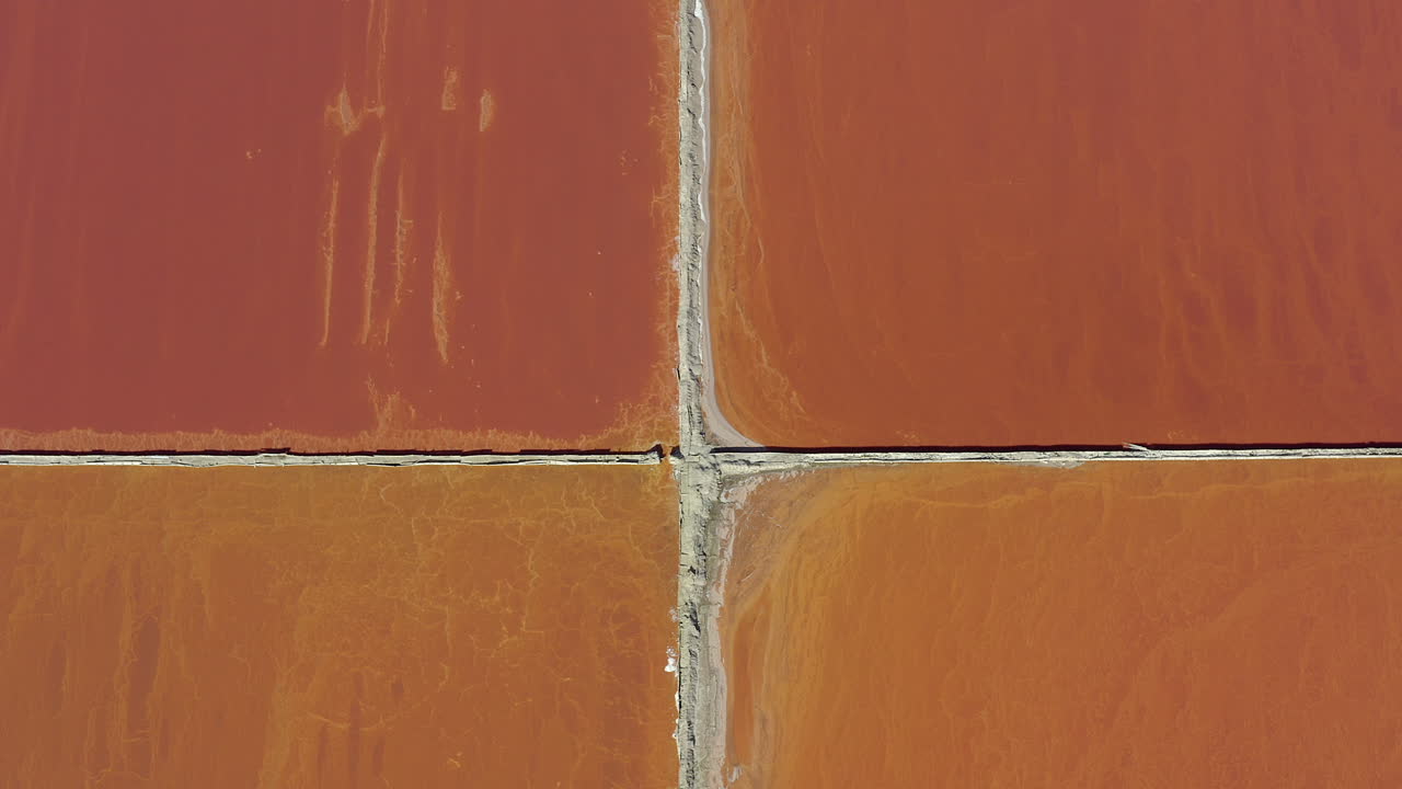 그들이 볼 수 있는 한 소금