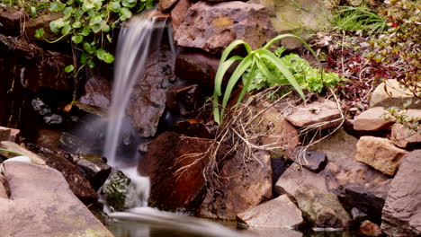 Zeitraffer-Und-Langzeitbelichtung-Eines-Süßwasserteiches