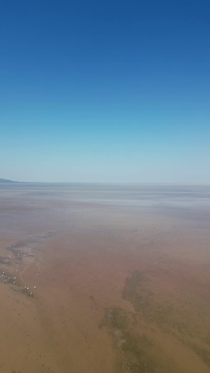 A stunning aerial top view of Dholavira Beach Kutch Gujarat India with serene waters, golden sand and flocks of flamingos at the shore under a clear sky on a sunny day