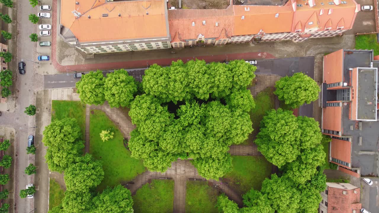 Green trees in small park surrounded by apartment buildings, aerial top down