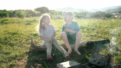 brother and sister have conversation while they sitting on log and roasting a  sausages on the sticks over the campfire flame in tent camp. happy family or outdoor picnic activities concept image.