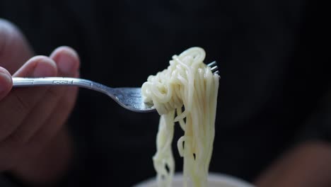 primer plano de un tenedor lleno de fideos