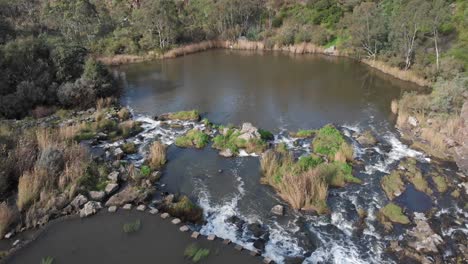 aerial tilt down over barwon river weir in geelong, australia