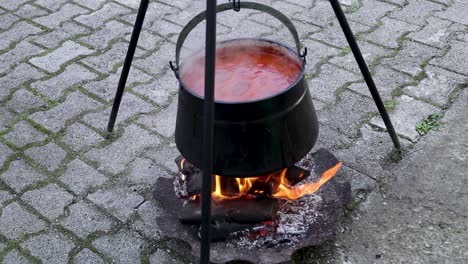 cooking stew outdoor, croatia, cobanac, tradition meal, slavonija, medium shot