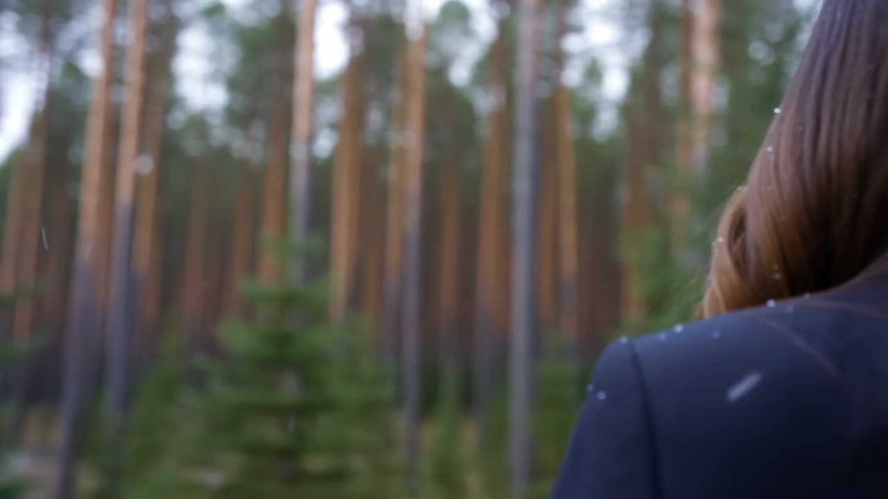 Person gazing at a tranquil forest