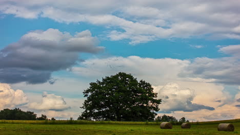 dynamic cloudscape over a hay field and tree in the farmland countryside - time lapse