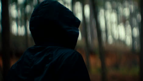 person in forest