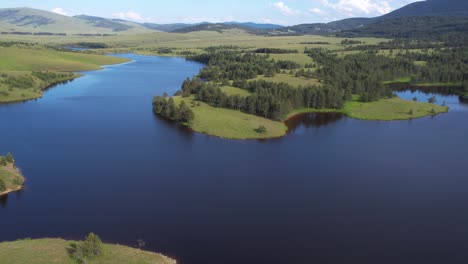 drone shot of lake, green meadows and forest in idyllic mountain landscape