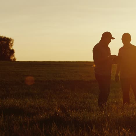 Dos-Agricultores-Hablan-En-El-Campo-Y-Usan-Una-Tableta.