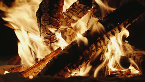 bonfire of the good wood burning on the beach close-up