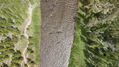 Forest-Creek-in-Yellowstone-National-park,-overhead-aerial-view-in-slow-motion