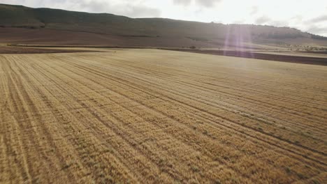 Drone-Volando-Rápido-Y-Bajo-Sobre-Tierras-De-Cultivo-Temprano-En-La-Mañana-En-Italia-En-4k