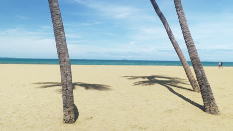 Hermoso-Paisaje-De-Palmeras-De-Coco-Y-Nubes-Blancas-Alrededor-Del-Cielo-Azul