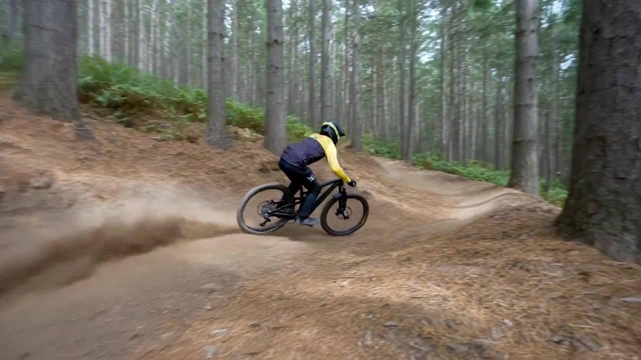 Un ciclista con maglia gialla e casco, su mountain bike, accelera mentre affronta un sentiero di pini con sponde.
