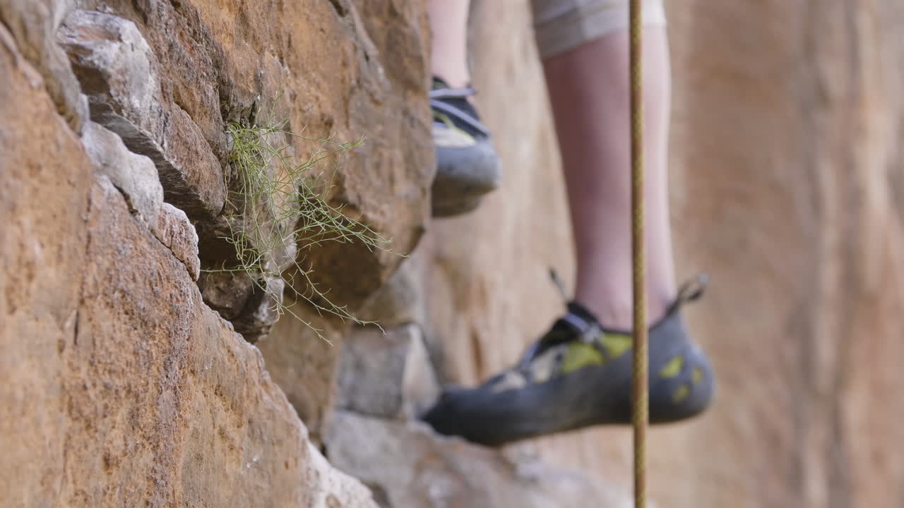 Small weed growing from crag in rock face in foreground, with rock climbers feet visible in background, climbing