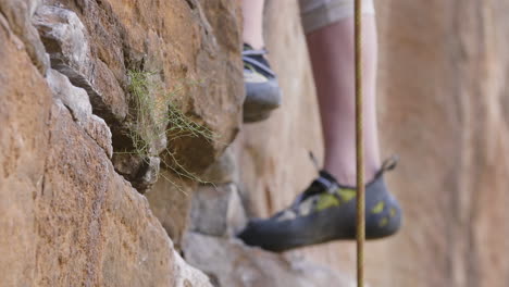 small weed growing from crag in rock face in foreground, with rock climbers feet visible in background, climbing