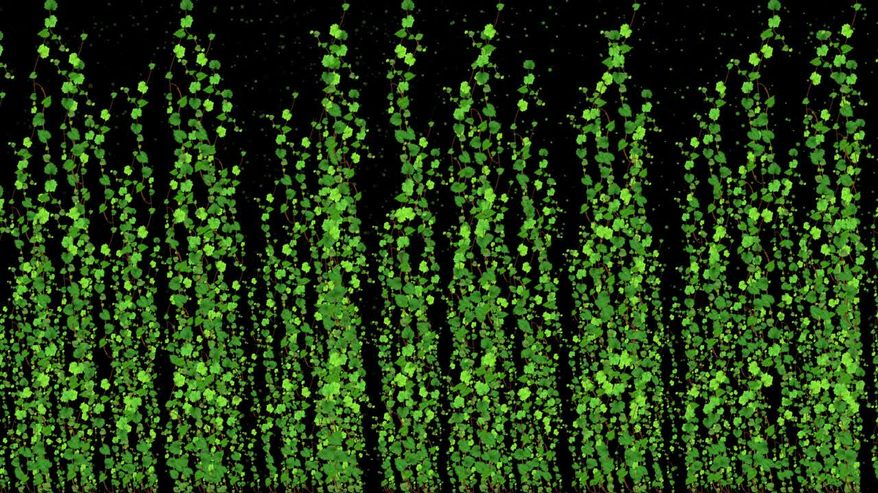 Bindweed. Hanging decorative plants. Seaweed. Leaves in chains.