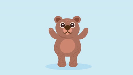 cute bear animal character animation