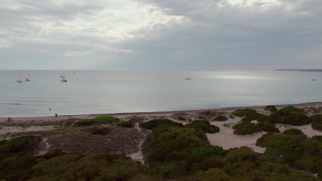 스페인 마요르카의 플라치아 데 트렌크의 모래 해변에 있는 관목