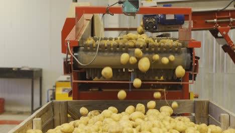 storage in the potato factory.