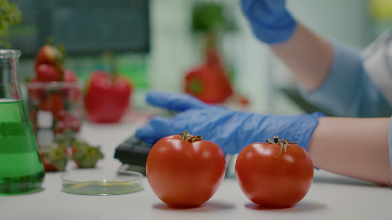 Closeup of scientist injectinging tomato with genetic liquid using medical syringe