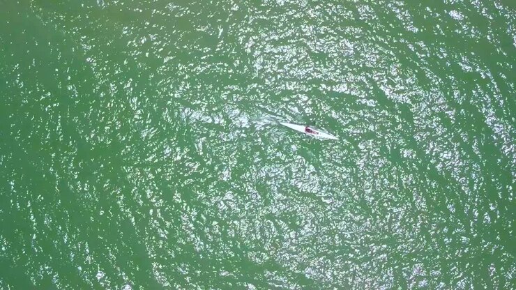 Lone Person Kayaking Across Open Waters Off Trinity Beach In Cairns