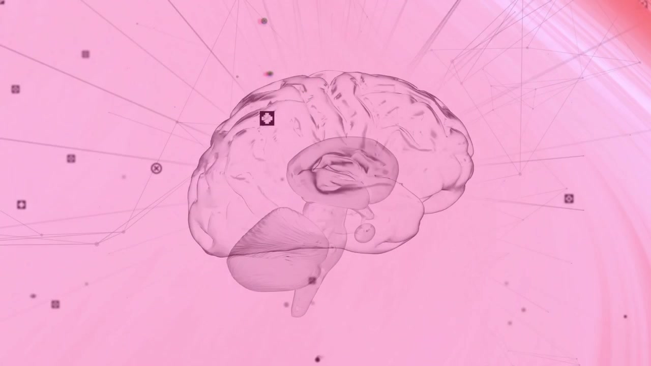 On startup brain rotating while nodes pulsing and lines radiating showing neural network dynamics