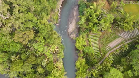 top down view of winding river running through in the middle of green tropical landscape