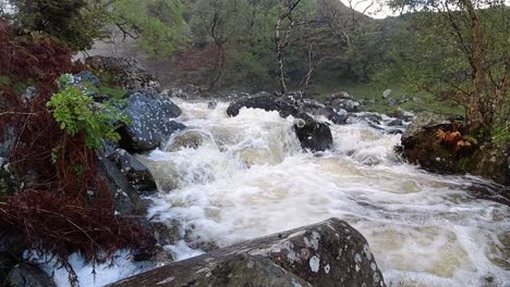 slow motion powerful rapid flowing water over rocky woodland river wilderness