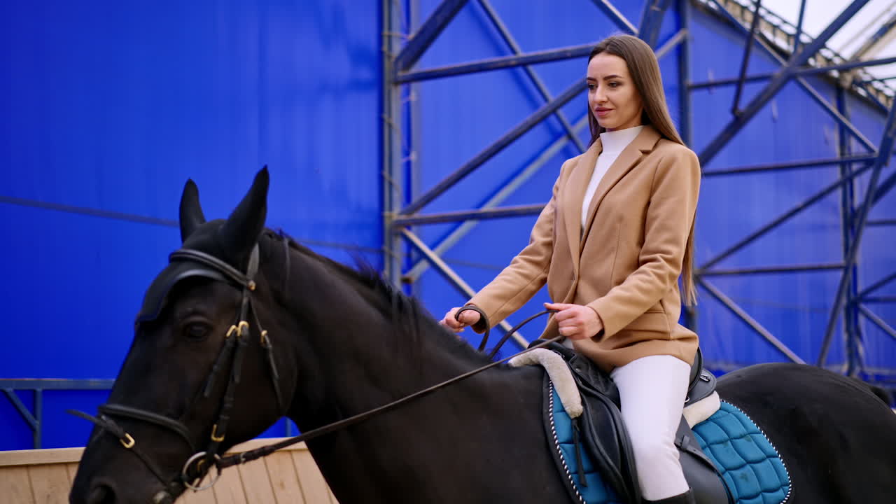 Attractive dark-haired lady riding a beautiful black horse. Woman practicing her hobby at riding hall. Low angle view.