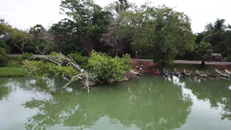 cigüeña de imágenes de drones 4k en el lago, sri lanka