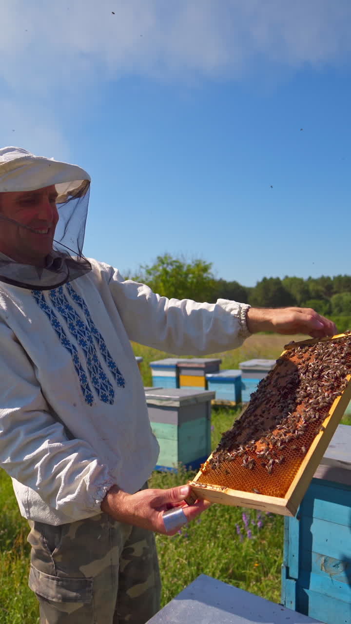 Frame with bees in farmer's hands. Beekeeper standing on the apiary among hives and holding bee honeycomb in the countryside. Beekeeping concept. Vertical video