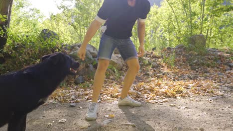 young man who loves dogs.