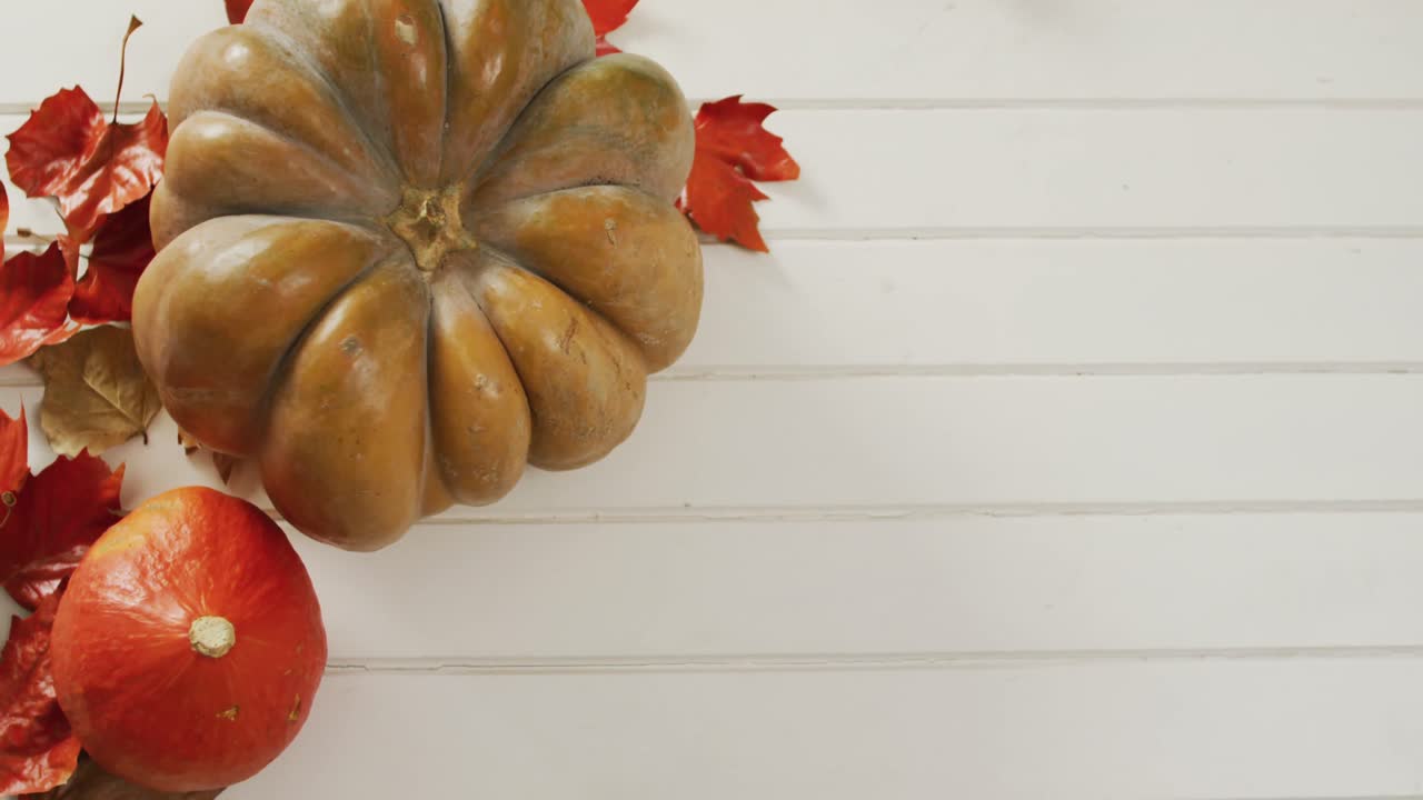 video de calabazas con hojas de otoño sobre un fondo blanco