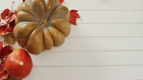 video of pumpkins with autumn leaves on white background