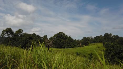 Landscape,-Bluesky,-Moving-Clouds,-People-Nature-Walking-at-a-Distance