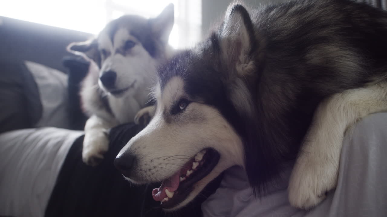 It's nap time for us