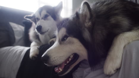 it's nap time for us