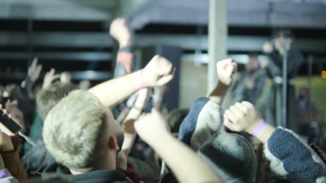 many peoples are dancing in a musical concert of a popular band, raise their hands up