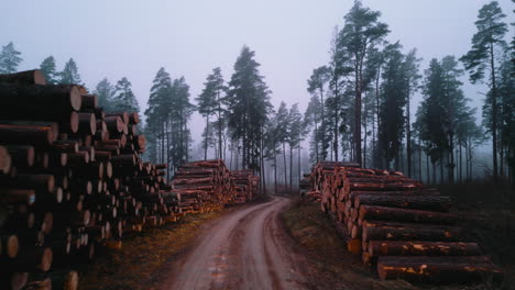 Valdemārpils-of-Latvia-in-the-month-of-February