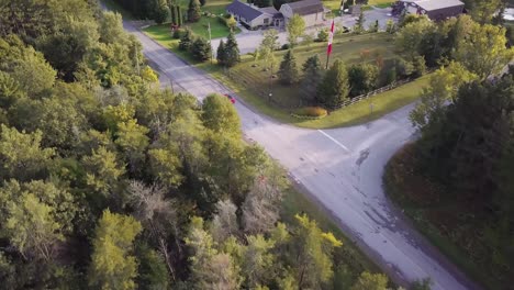 A-red-car-drives-down-a-long-road-between-large-trees