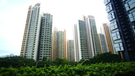 high-rise apartment buildings in a city park