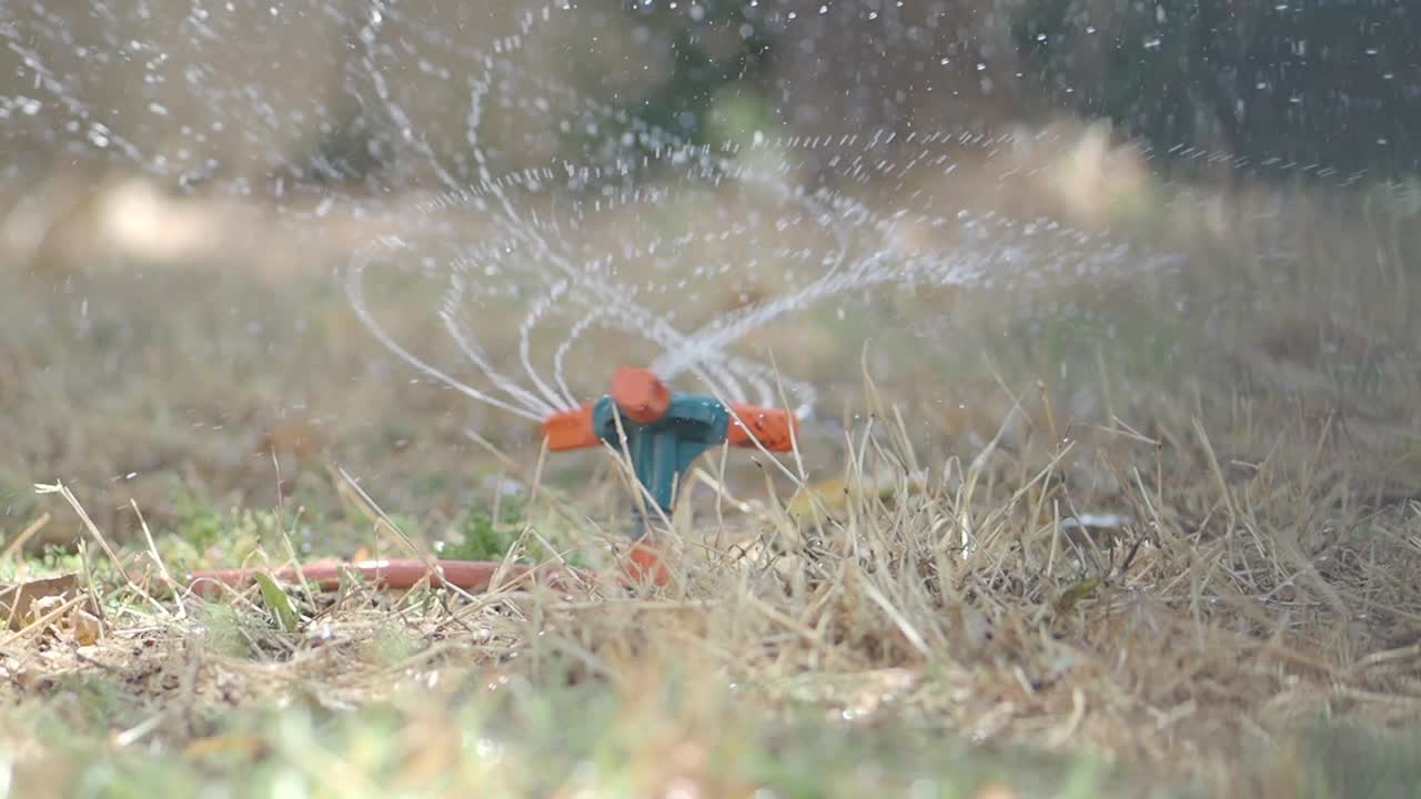 A sprinkler watering dry grass
