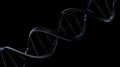 dna-diagonal black and blue color