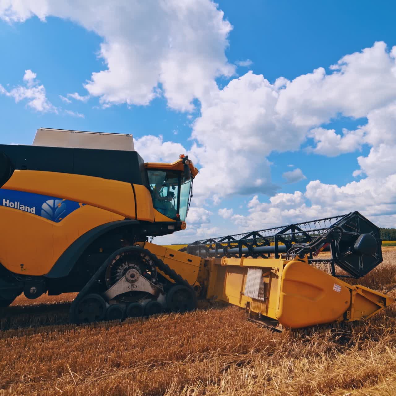 Side view of the yellow combine harvester on the field. Modern harvester machine gathering ripe wheat under the blue sky. Close-up.