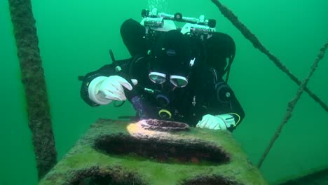 scuba diver explora la estufa de leña en goldrush paddlwheel aj goddard