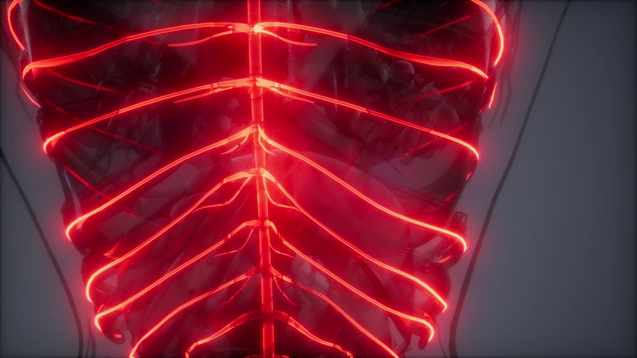 examen de radiología del cerebro humano