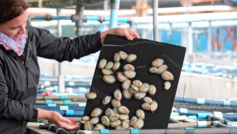 woman harvesting abalone in aquaculture farm
