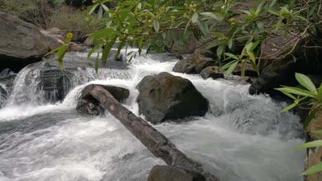 toma en cámara lenta de agua de cascada o río que fluye a gran velocidad