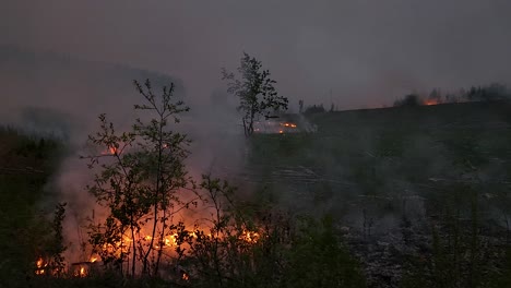 campo siendo quemado por un incendio forestal y humo por todas partes